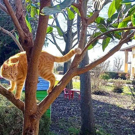 Vakantiehuis Casa Fienile *