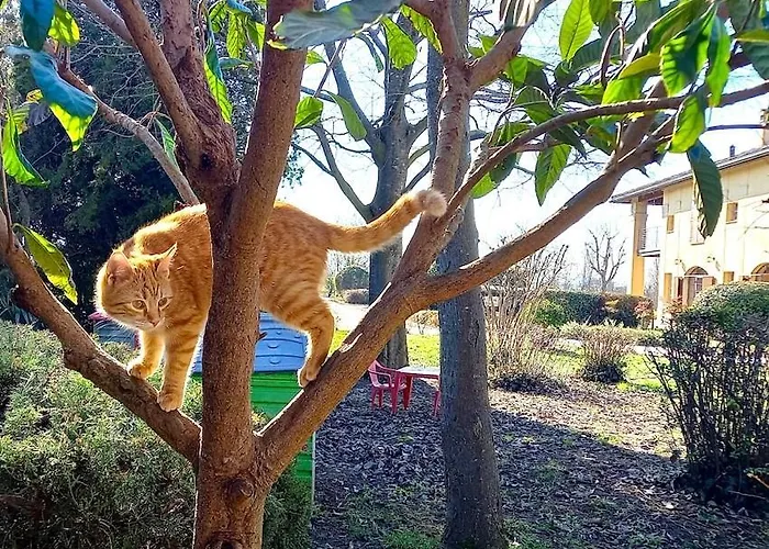 度假居 Casa Fienile *